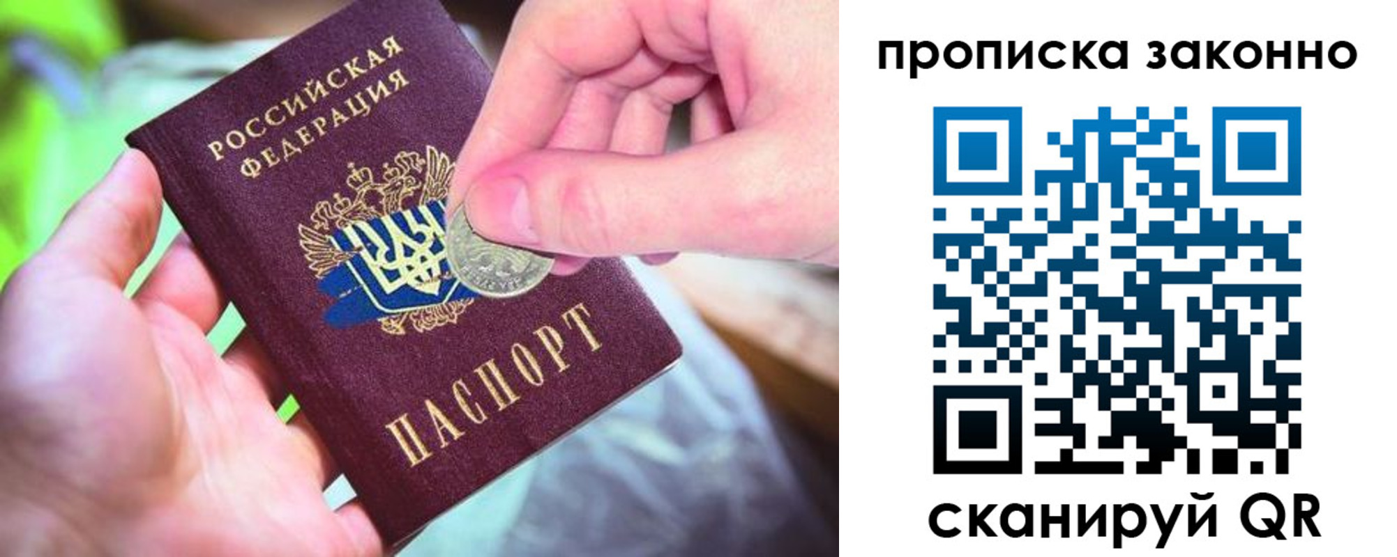 прописка поиск в Новороссийске
